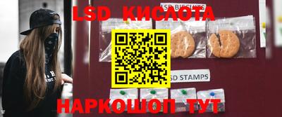 спайс Малгобек