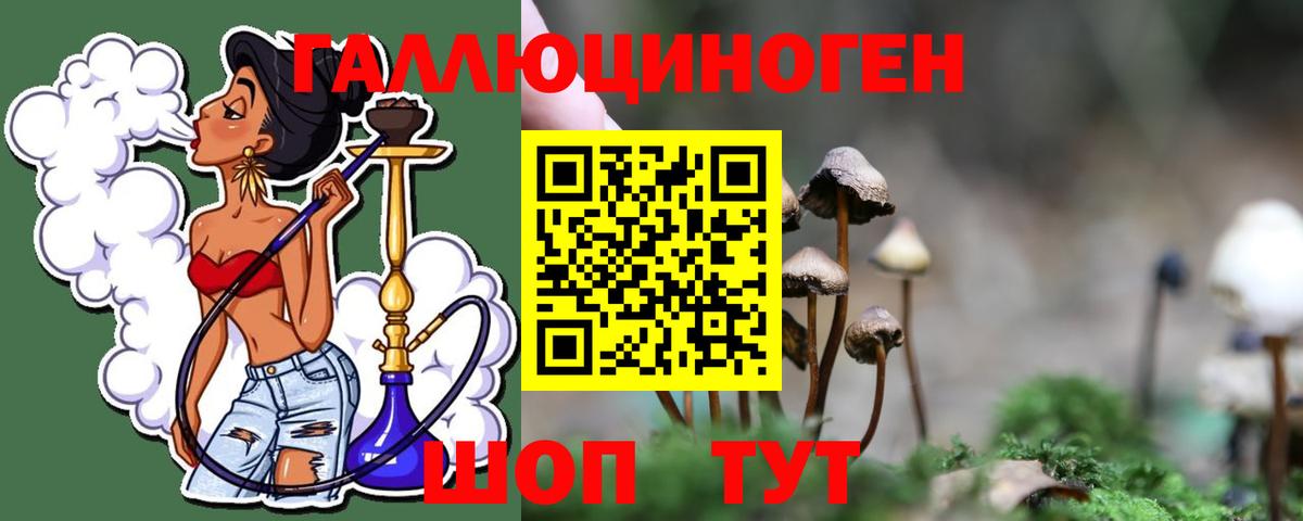 Бугуруслан  Галлюциногенные грибы Psilocybe  где можно купить   Вход с VPN 