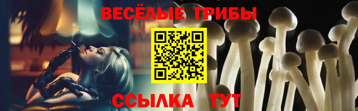Псилоцибиновые грибы GOLDEN TEACHER Бугуруслан